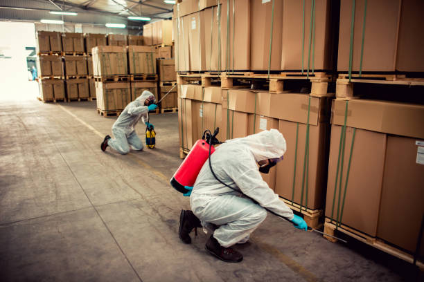 Best Pest Control Cost  in Hudson, CO