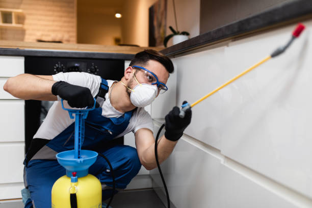 Best Bed Bug Extermination  in Hudson, CO