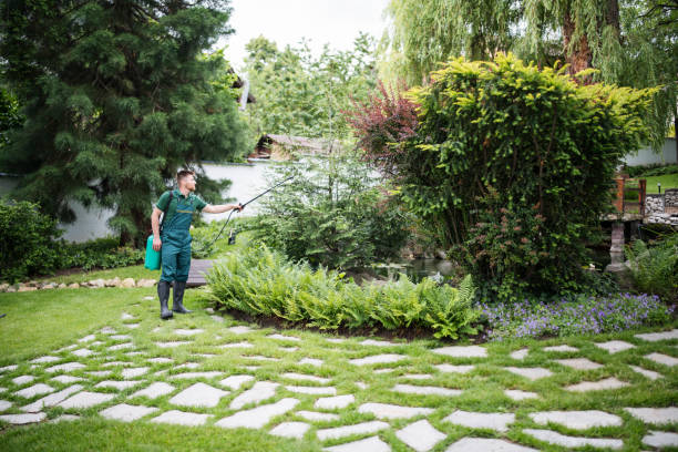 Best Insect Control  in Hudson, CO
