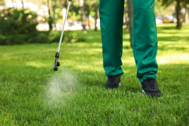 Best Affordable Pest Control Services  in Hudson, CO