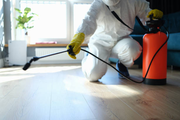 Best Pest Control Treatment  in Hudson, CO
