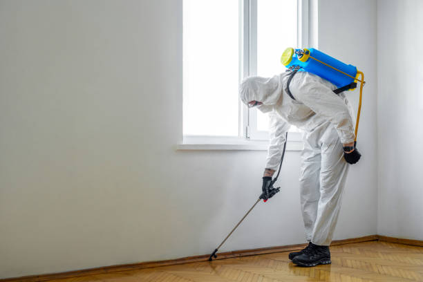 Best Exterminator Services  in Hudson, CO