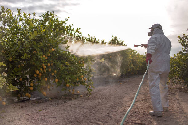 Best Cockroach Control Services  in Hudson, CO