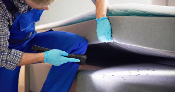 Best Ant Control Services  in Hudson, CO