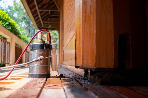 Best Exterminator Services  in Hudson, CO