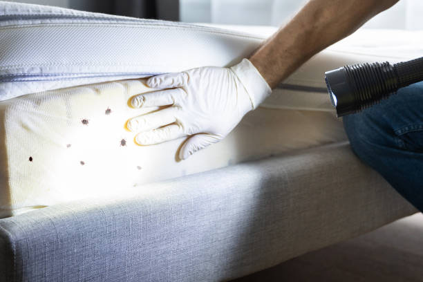 Hudson, CO Pest Control Company