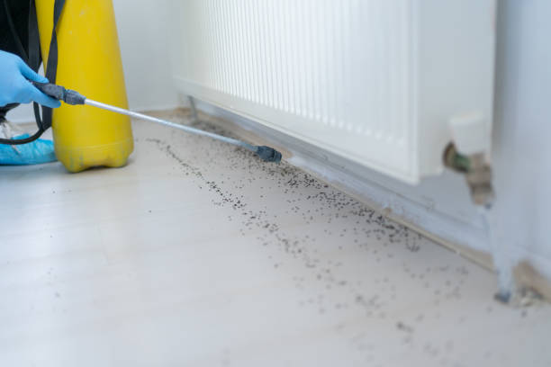 Professional Pest Control in Hudson, CO