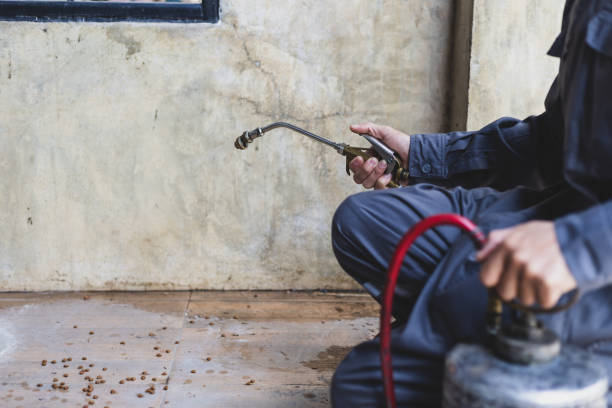 Best Pest Control Near Me in Hudson, CO